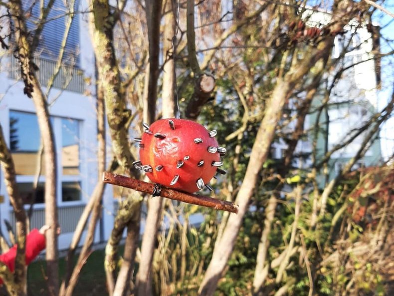 Apfel als Vogelfutter im Gebüsch